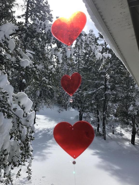 National Forest Retreat - Relax And Recharge! Two Night Minimum Βίλα Πρέσκοτ Εξωτερικό φωτογραφία