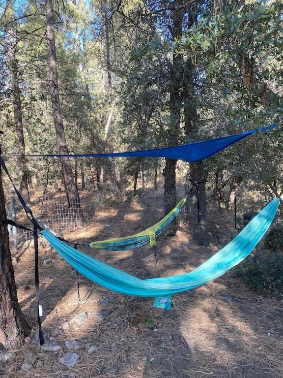 National Forest Retreat - Relax And Recharge! Two Night Minimum Βίλα Πρέσκοτ Εξωτερικό φωτογραφία